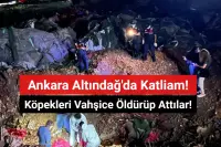 Ankara Altındağ'da Köpek Katliamı! Vahşice Öldürüp Attılar!