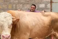Burak Özdemir, Yaptığı Hareketle Gönülleri Fethetti