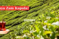 Çayseverleri Üzecek Haber: Büyük Zam Kapıda!