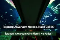 İstanbul Akvaryum Nerede? Giriş Ücreti Ne Kadar?