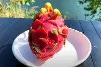 Mersin'de Ejder Meyvesi Hasadı: Kilosu 120 TL