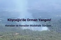 Muğla'nın Köyceğiz İlçesinde Orman Yangını Çıktı!