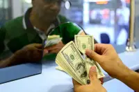 Sahte Dolar Alarmı: Bankalar ve Döviz Büroları İşlemleri Durdurdu