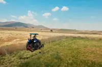 Tarım Enflasyonunda Düşüş! Aylıkta Tarım Enflasyonu Düştü