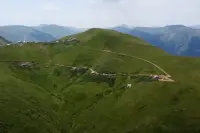Trabzon'da Vahşet! Yer Anlaşmazlığı İçin Kan Akıttılar