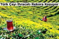 Türk Çayı İhracat Rekoruna Koşuyor! İşte Çayın İhracatta Dudak Uçuklatan Dolar Cinsinden Getirisi!