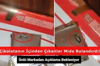 Ünlü Çikolata Markasının Başı Dertte: İçinden Çıkanlar Mide Bulandırdı!