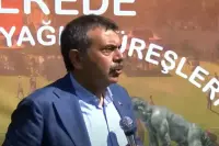 Yağlı Güreş Programına Bakan Tekin'de Katıldı