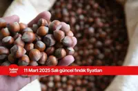 11 Mart 2025 Salı fındık fiyatları ne kadar? İl il fındık fiyatları