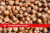 13 Mart 2025 Perşembe fındık fiyatları ne kadar? İl il fındık fiyatları