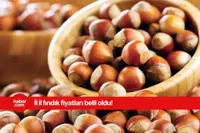 17 Mart 2025 Pazartesi fındık fiyatları ne kadar? İl il güncel fındık fiyatları