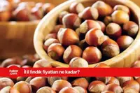 20 Mart 2025 Perşembe fındık fiyatları ne kadar? Güncel fındık fiyatları