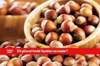 21 Mart 2025 Cuma fındık fiyatları ne kadar? Güncel fındık fiyatları