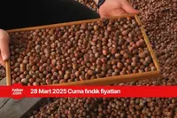 28 Mart 2025 Cuma fındık fiyatları ne kadar? Bugün fındık fiyatları ne kadar?