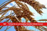 En çok buğday tüketen ülkeler açıklandı! Bakın Türkiye kaçıncı sırada yer alıyor