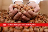 2 Nisan 2025 Çarşamba fındık fiyatları ne kadar? İl il fındık fiyatları