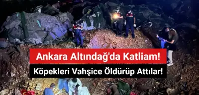 Ankara Altındağ'da Köpek Katliamı! Vahşice Öldürüp Attılar!