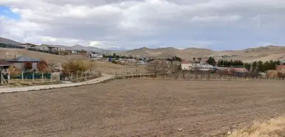 Ankara'da 13 Yaşındaki Alperen Tekyürek Bir Kez Daha Sokak Köpeklerinin Saldırısına Uğradı!