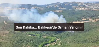 Balıkesir'de Ormanlık Alanda Yangın! İşte Son Durum