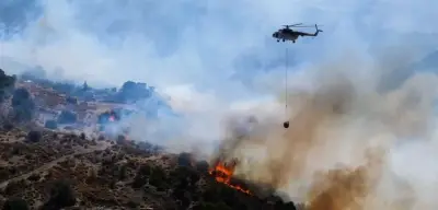 Bolu, Manisa ve İzmir'de Orman Yangınları: Çanakkale'deki Kontrol Altında!