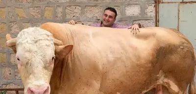 Burak Özdemir, Yaptığı Hareketle Gönülleri Fethetti