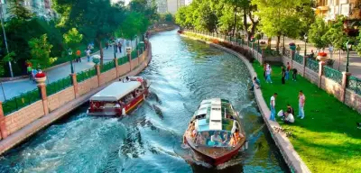 Eskişehir’de Ne Yetişir? Eskişehir’de Tarımın Geleceği ve Tarım Ürünleri - Meyveler, Sebzeler ve Hububat Ürünleri