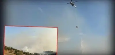 Hatay Arsuz’da Orman Yangını: 4 Ev Boşaltıldı, 479 Personel ve 152 Araç ile Müdahale Sürüyor
