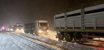 Ilgaz Dağı'nda Yoğun Kar Yağışı Ulaşımı Felç Etti
