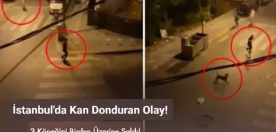 İstanbul Esenyurt'ta Skandal Olay: 3 Köpeğini Bir Adama Saldırttı!
