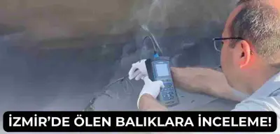 İzmir Körfezi’nde Balık Ölümlerine Bakanlıktan İnceleme Kararı!