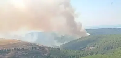 İzmir, Manisa ve Çanakkale'de Orman Yangını! 3 Kişi Hayatını Kaybetti