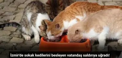 İzmir Menemen'de Sokak Kedilerini Besleyen Vatandaşa Saldırı!