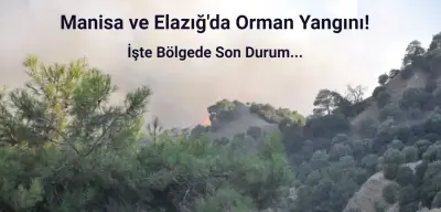 Manisa ve Elazığ'da Orman Yangını