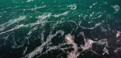 Marmara Denizi'nde Müsilaj Kabusu Geri Döndü