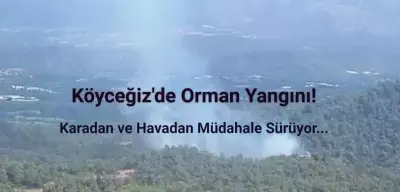 Muğla'nın Köyceğiz İlçesinde Orman Yangını Çıktı!