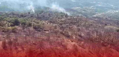 Orman Yangınlarından Etkilenen Tam 441 Kişiye Psikososyal Destek Verilecek!