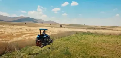 Tarım Enflasyonunda Düşüş! Aylıkta Tarım Enflasyonu Düştü