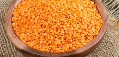 Türkiye’de En İyi Mercimek Nerede Yetişir?