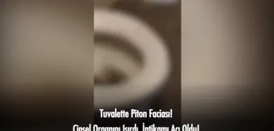 Tuvaletini Yaparken Pitonun Saldırısına Uğradı! Cinsel Organını Isıran Yılandan Böyle İntikam Aldı
