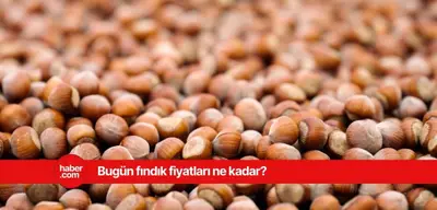 12 Mart 2025 Çarşamba fındık fiyatları ne kadar? İl il fındık fiyatları