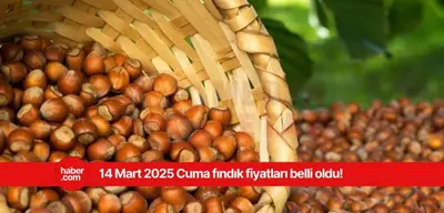 14 Mart 2025 Cuma fındık fiyatları ne kadar? Ordu, Samsun, Giresun, Trabzon fındık fiyatları