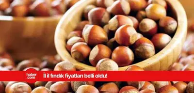 17 Mart 2025 Pazartesi Fındık Fiyatları
