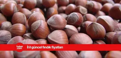 19 Mart 2025 Çarşamba fındık fiyatları ne kadar? Güncel fındık fiyatları
