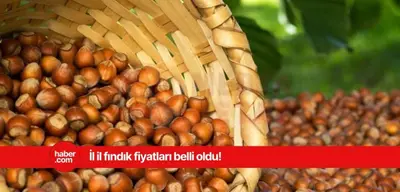27 Mart 2025 Perşembe fındık fiyatları ne kadar?