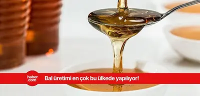 En çok bal üretimi yapan ülkeler belli oldu! Türkiye listede bakın kaçıncı sırada