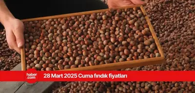 28 Mart 2025 Cuma fındık fiyatları ne kadar? Bugün fındık fiyatları ne kadar?