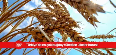 En çok buğday tüketen ülkeler açıklandı! Bakın Türkiye kaçıncı sırada yer alıyor