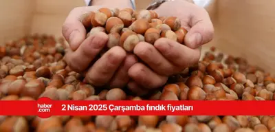 2 Nisan 2025 Çarşamba fındık fiyatları ne kadar? İl il fındık fiyatları