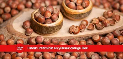 Türkiye'nin en çok fındık üreten illeri açıklandı! İşte o iller