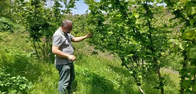 CHP'li Torun'dan Zirai Don Tepkisi